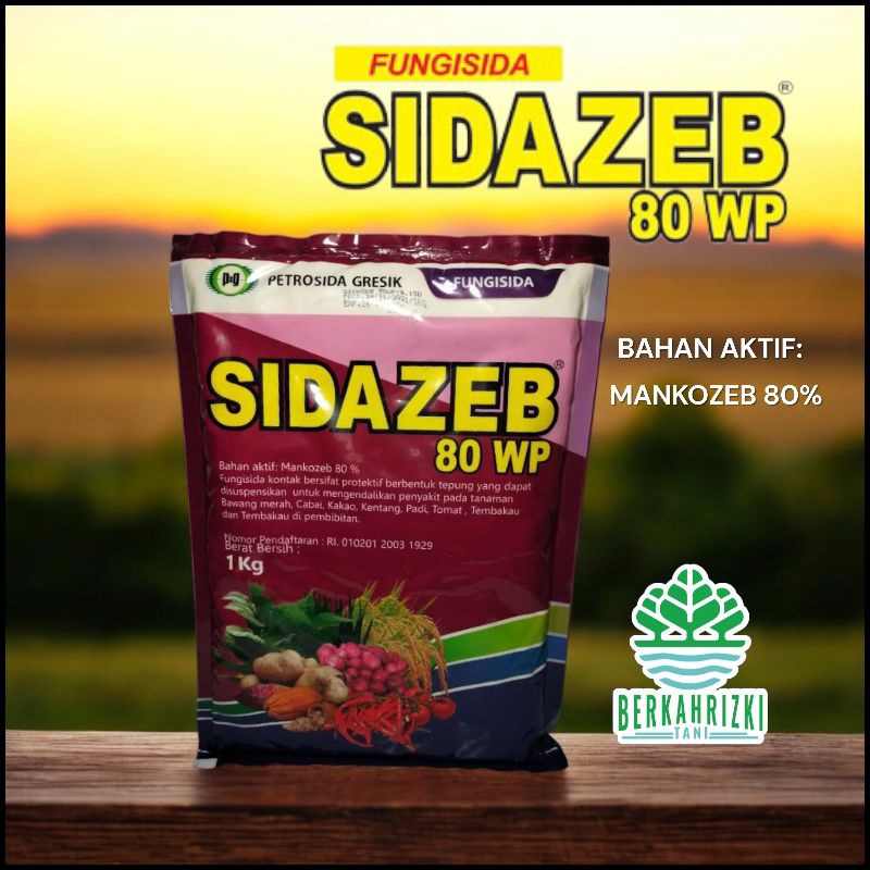 FUNGISIDA SIDAZEB 80WP BAHAN AKTIF MANKOZEB 80%