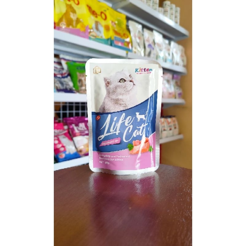 Life Cat Salmon Kitten