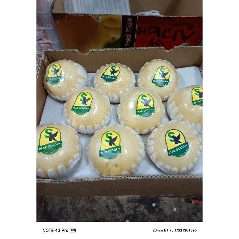 

PEAR SINGO isi 18pcs