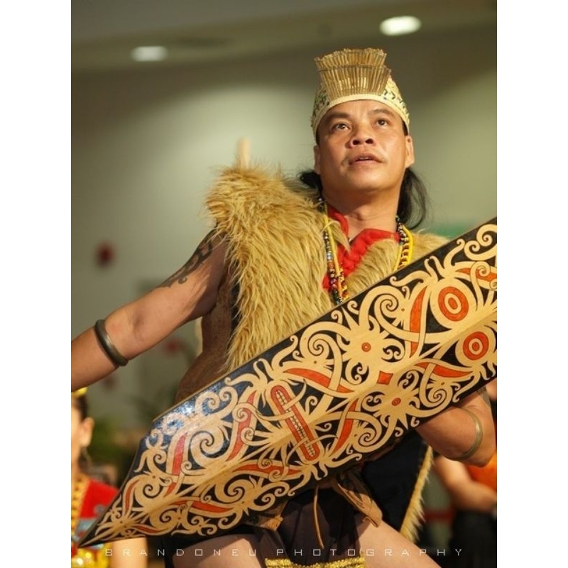 amzborneo.craft//Tameng Ulin Khas Dayak//Perisai Ulin Khas Dayak//Talawang Ulin Khas Dayak//Alat Tar