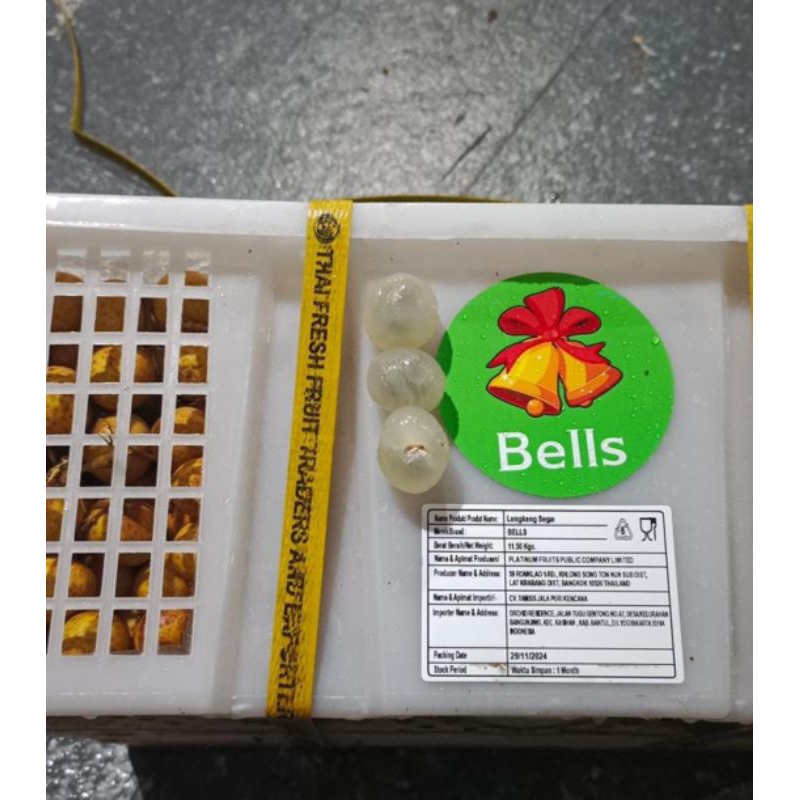 

Kelengkeng Stiker Hijau