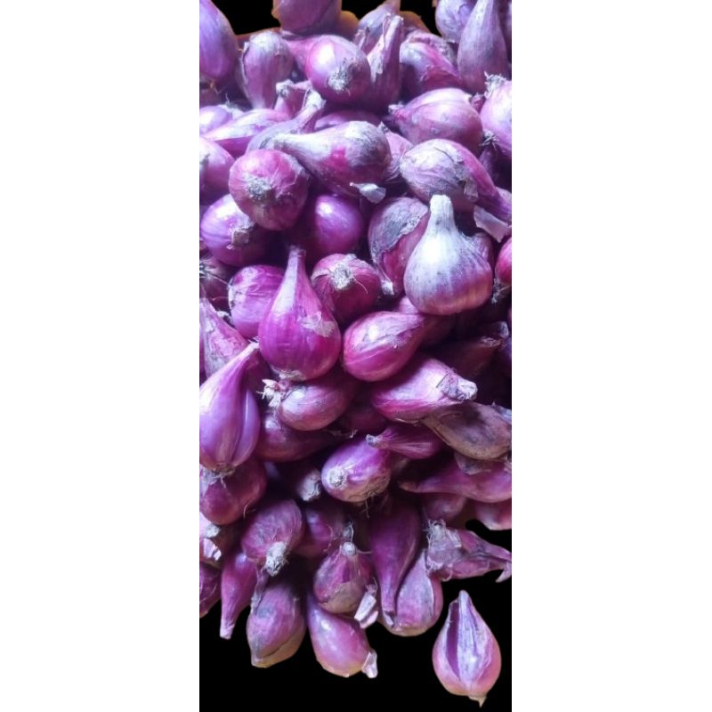 

Bawang merah grade A murah
