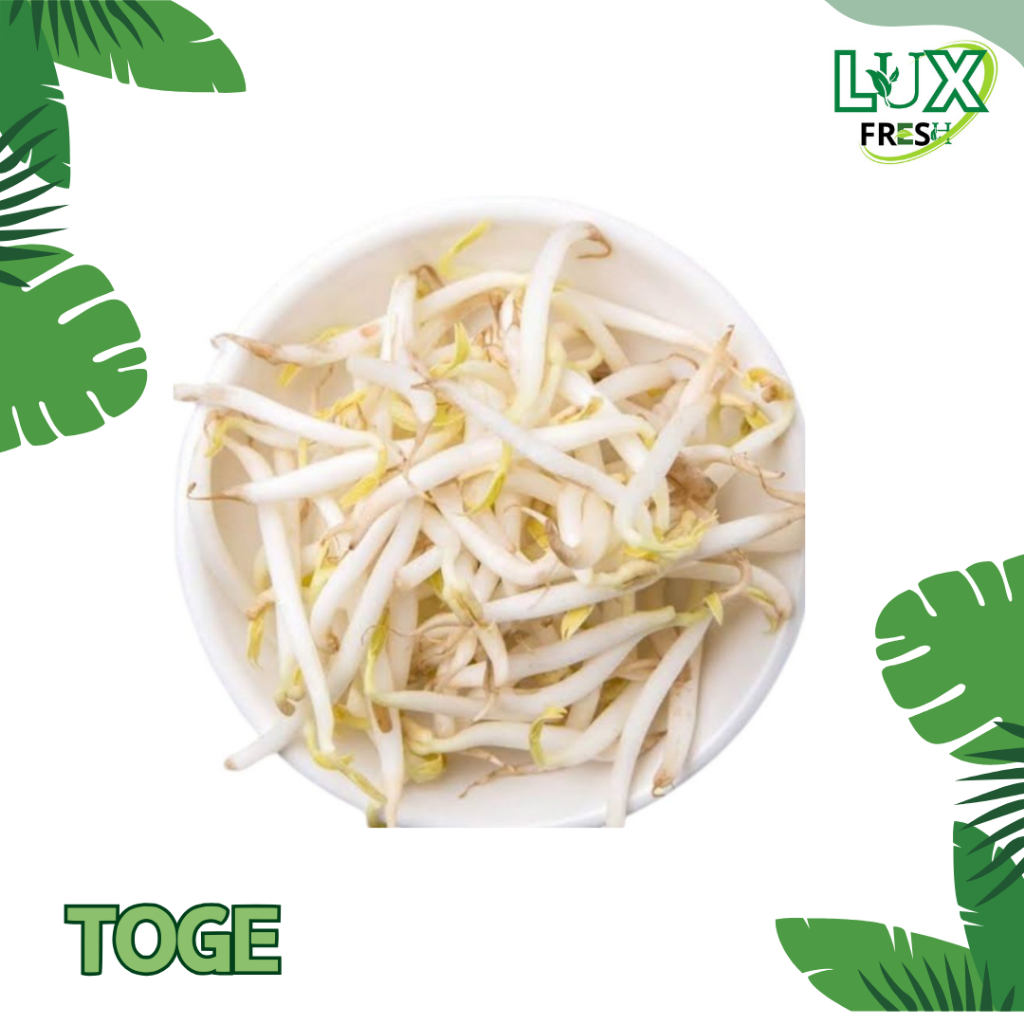 

TOGE FRESH 250 GRAM BEST QUALITY