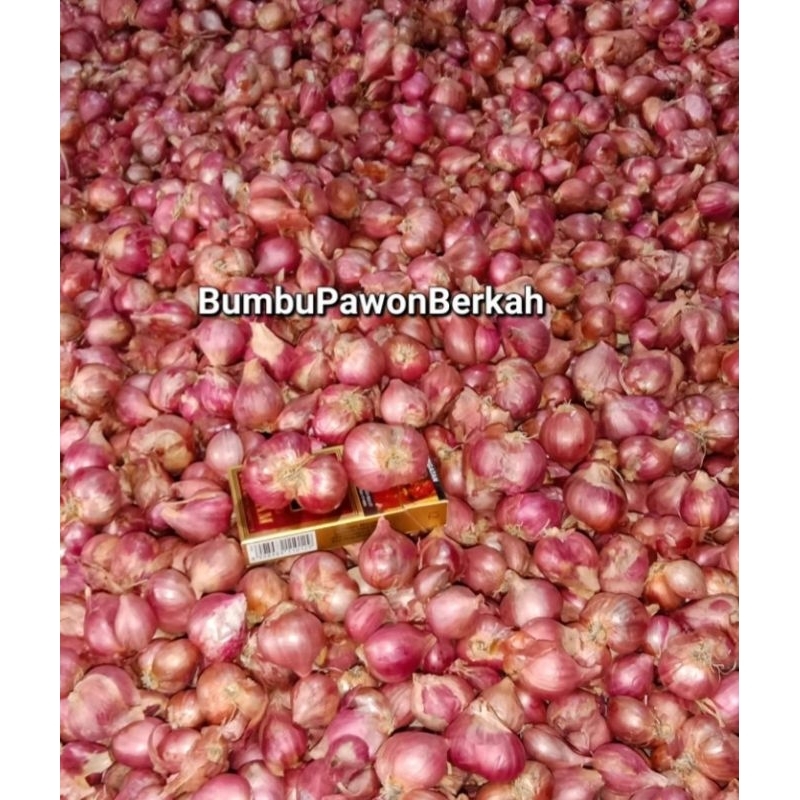 

BawangMerahJatimBesar