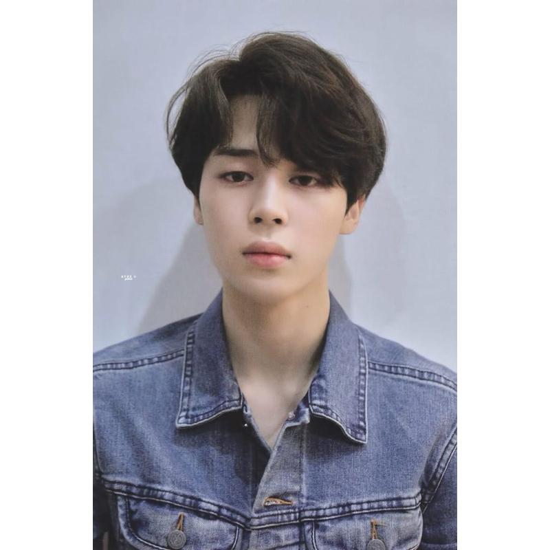 (JNT ONLY) Pc Jimin Dilan Official