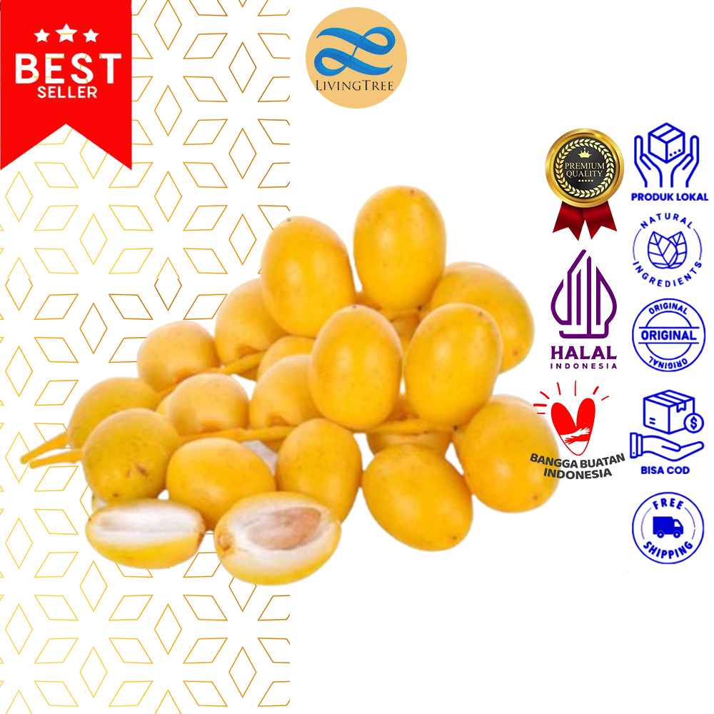 

1 Kg Kurma Muda Kuning |Ruthob Promil Segar bukan Frozen