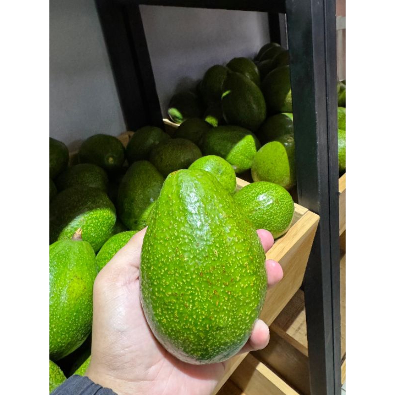 

Alpukat Mentega 1 Kg