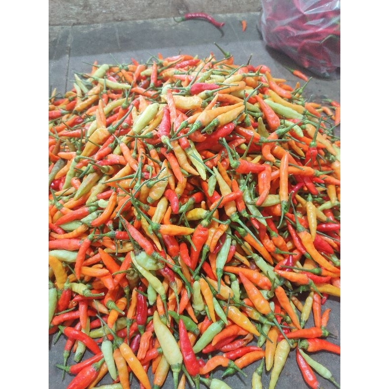 

cabe rawit pedass pooll 250g