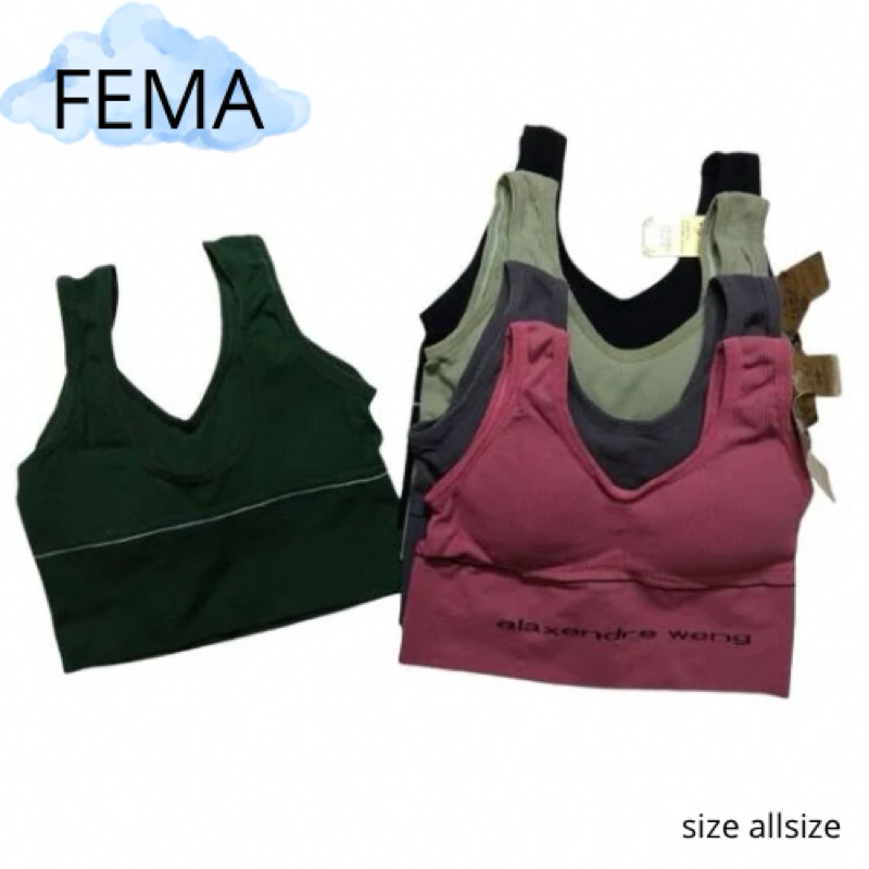 bra sport wanita sport bra fema tanpa kawat size allsize