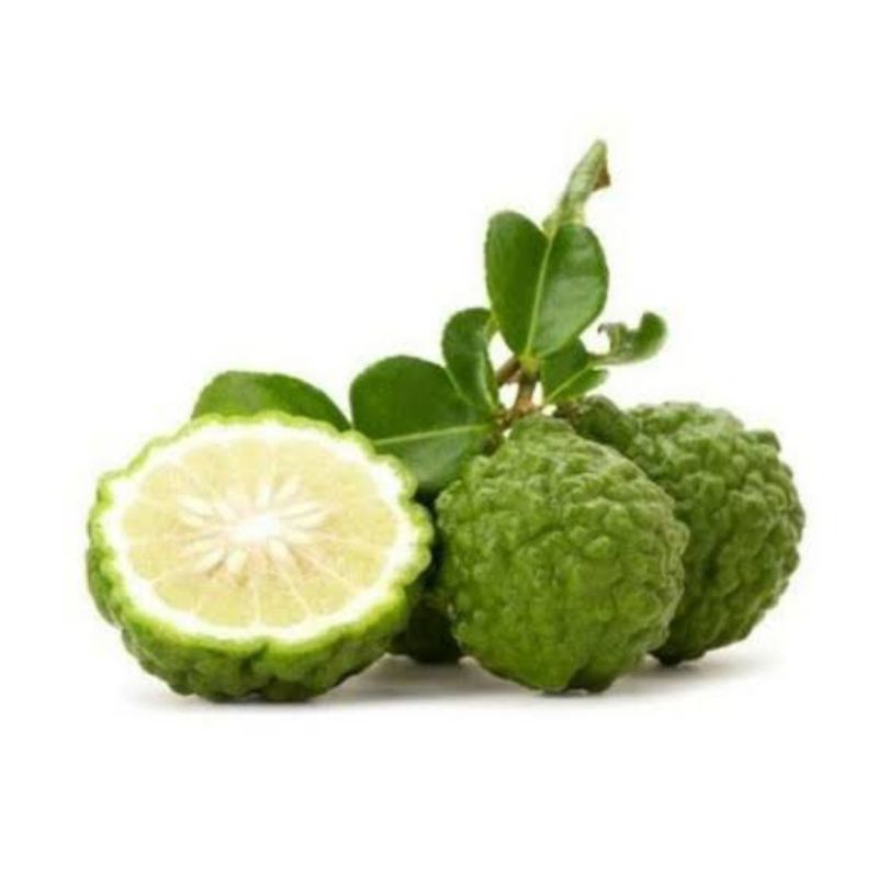 

Limau Kuit / Berat 500 gram