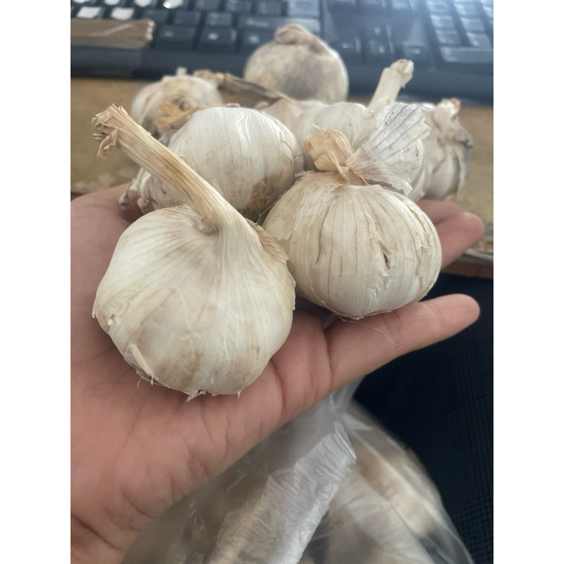 

BAWANG PUTIH (500gr)