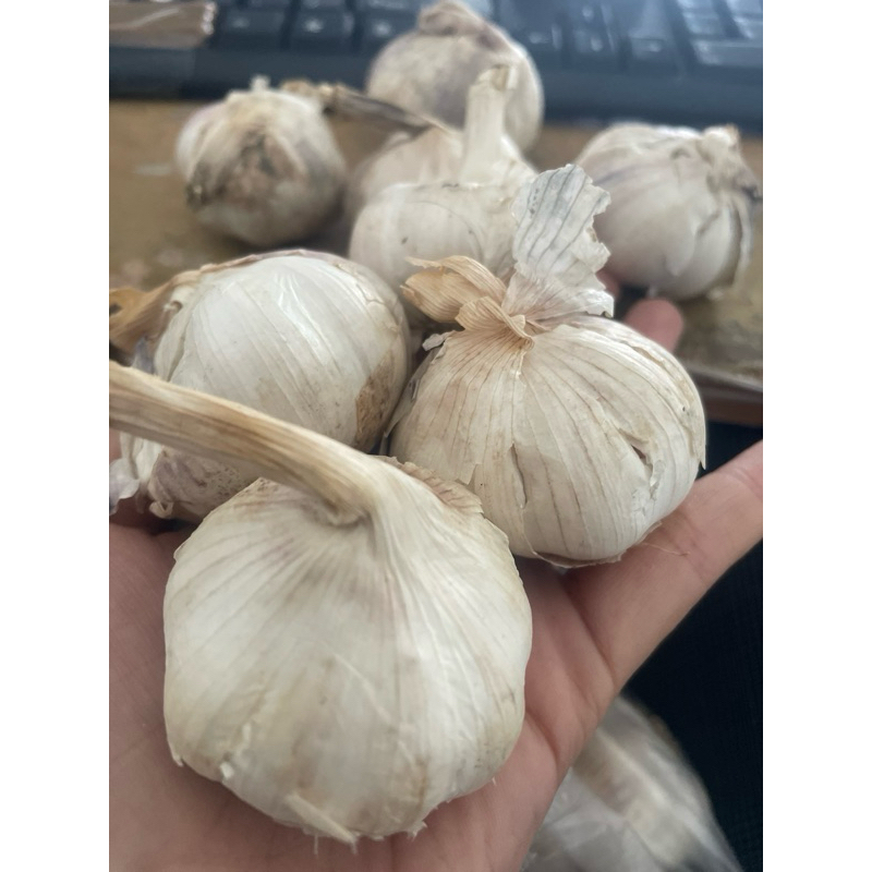 

BAWANG PUTIH MURAH (250gr)