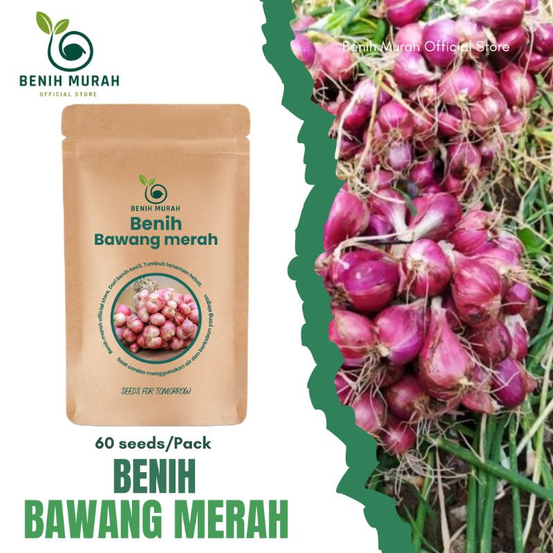 

BENIH BAWAH MERAH
