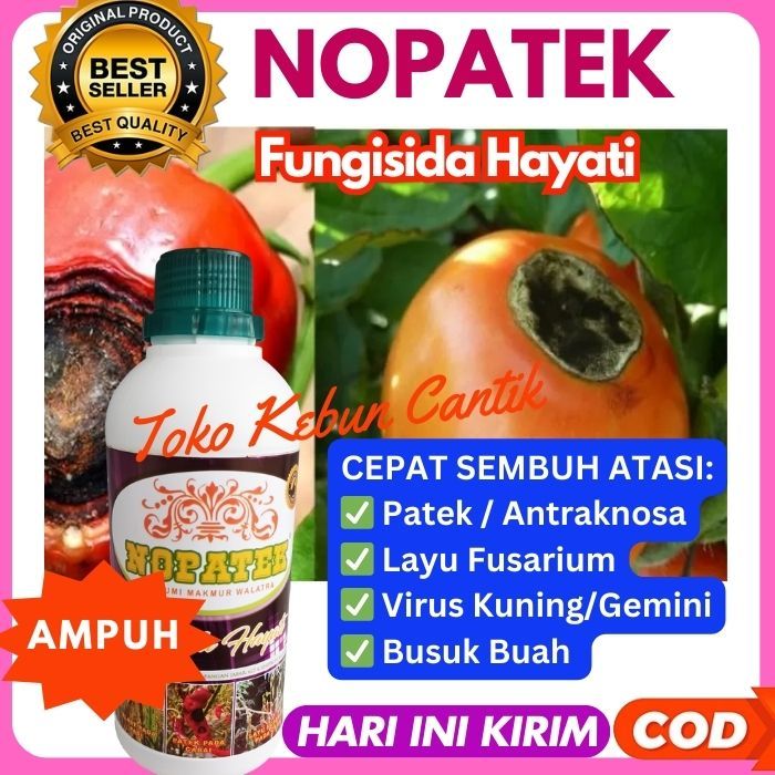 NOPATEK 500ML Fungisida Hayati Alami untuk Beragam Tanaman: Padi, Hortikultura (Cabe, Tomat, Kangkun