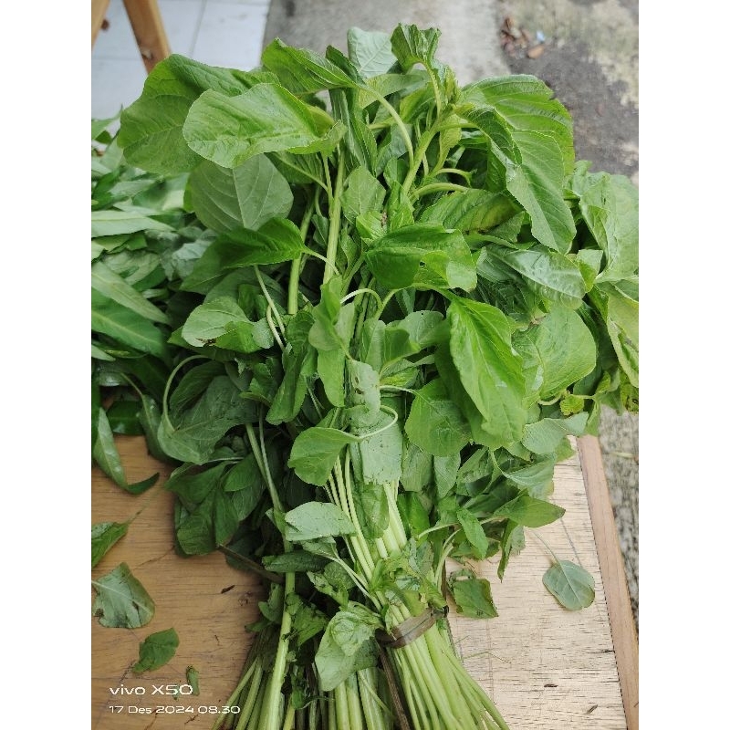 

Sayur Bayam