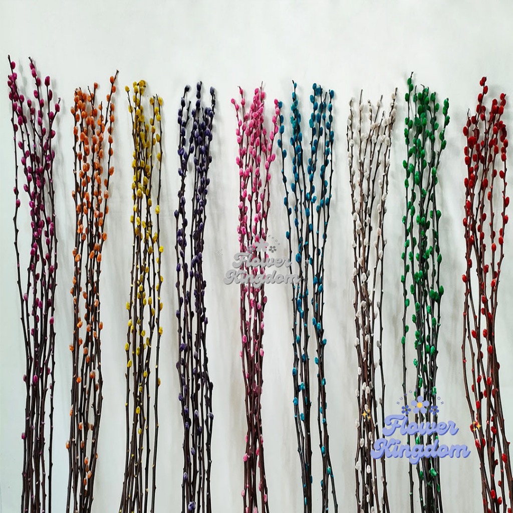 (9pcs) Dried Pussy Willow 2023 Bunga Imlek Dekorasi Chinese New Year Decoration CNY Bunga Kering Bun