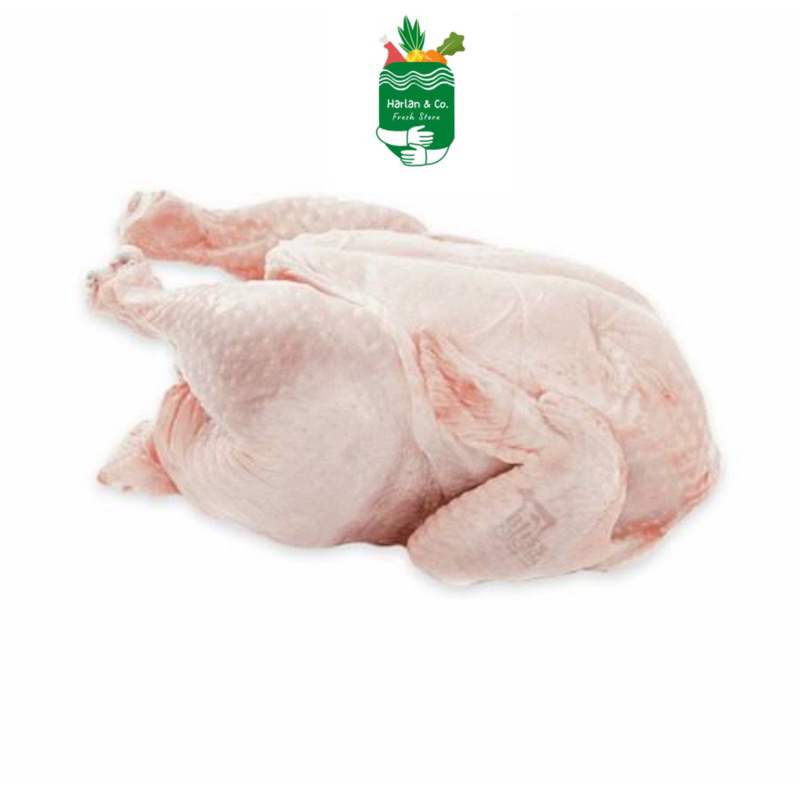 

ayam potong segar (sedang)