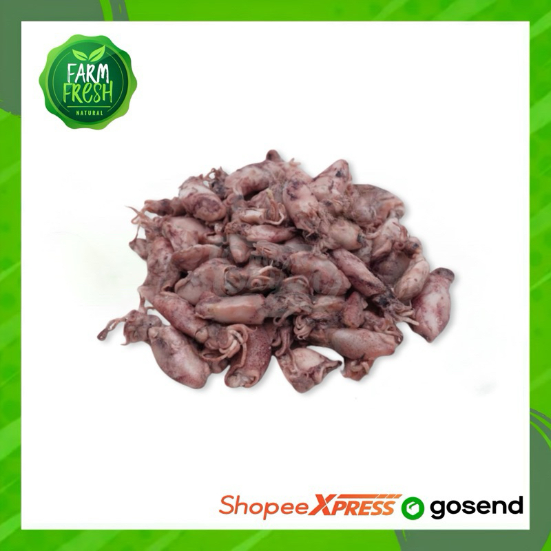 

KIRIM INSTAN Baby Cumi / Cumi Asin