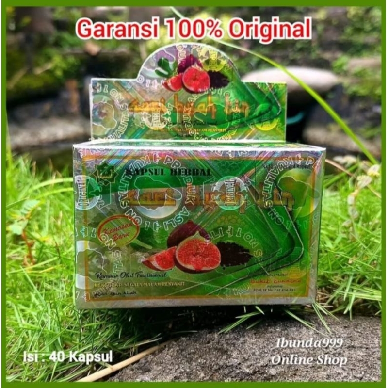 AKAR BUAH TIN / POHON BUAH TIN / DAUN ASLI BUAH TIN