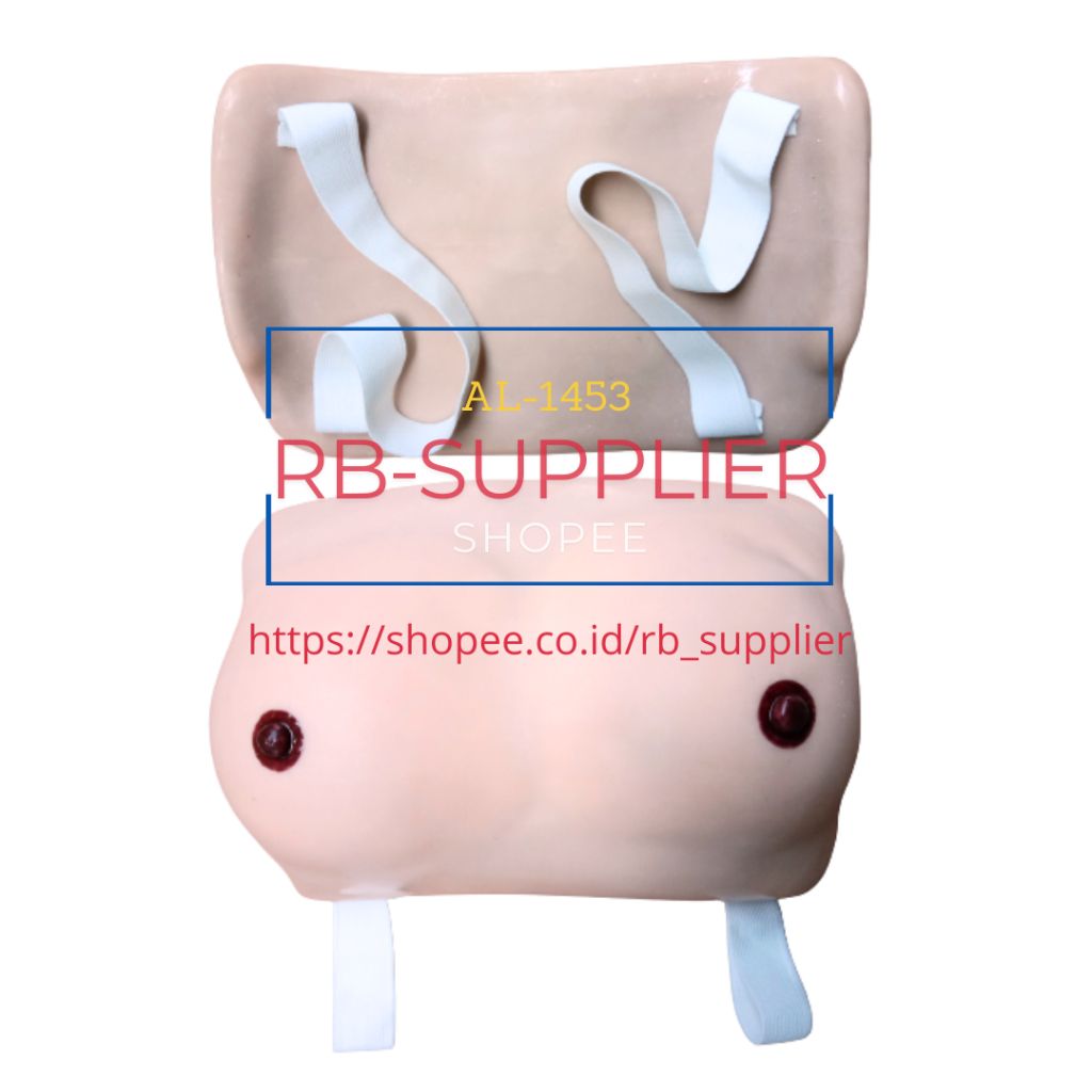 

Phantom Breastcare-Perawatan Payudara Silikon-Manikin/Manekin