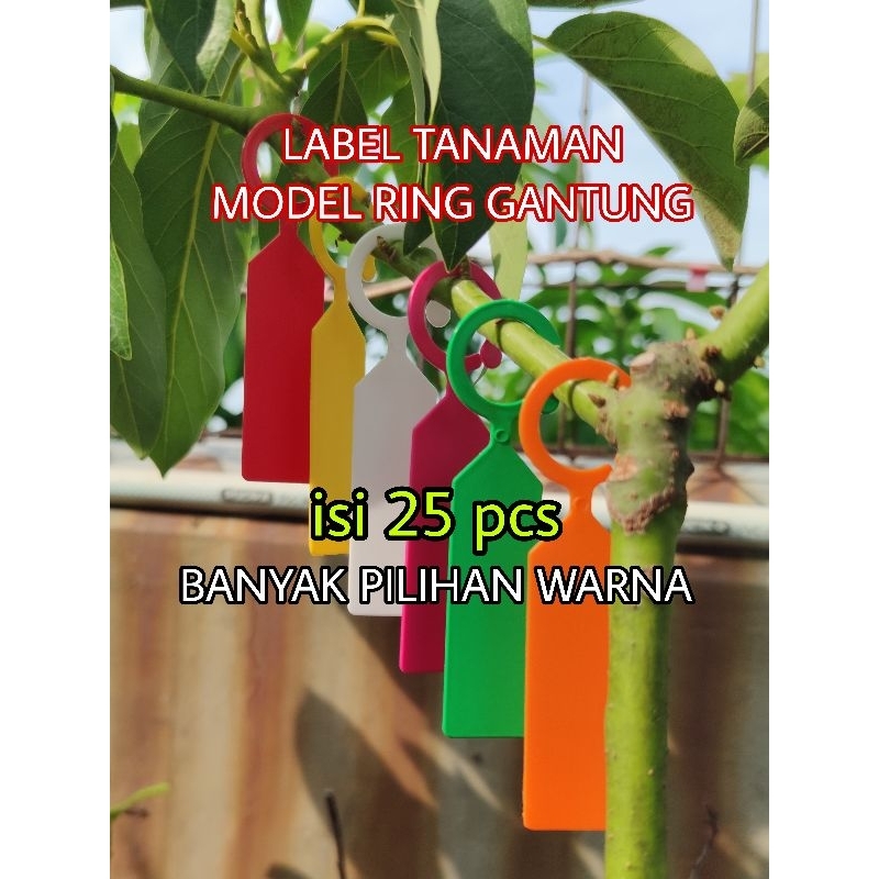 

25 PCS LABEL TANAMAN MODEL RING GANTUNG BAHAN PLASTIK PP ANTI AIR