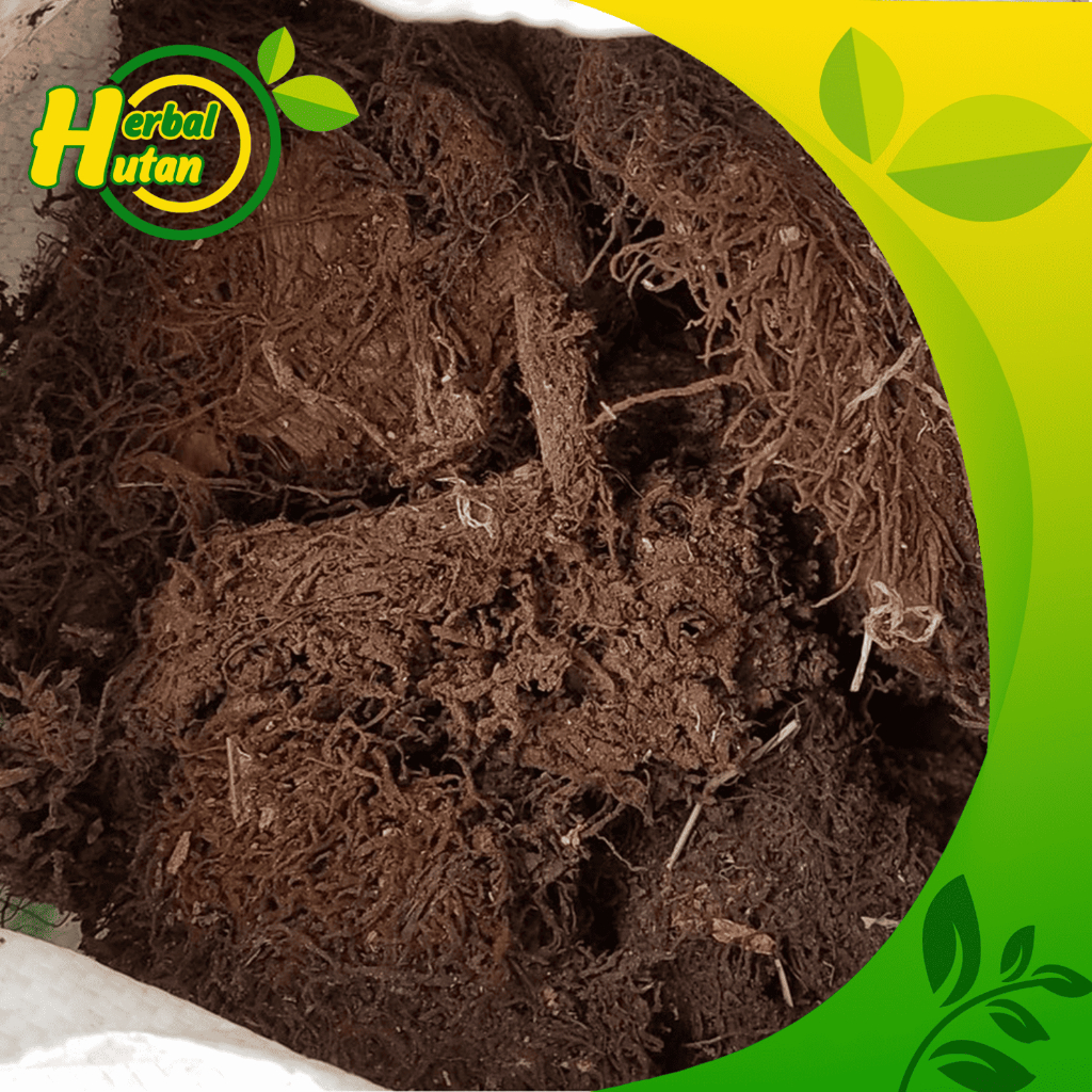 

Moss Hitam Akar Kadaka 1 kg Media Tanaman Hias