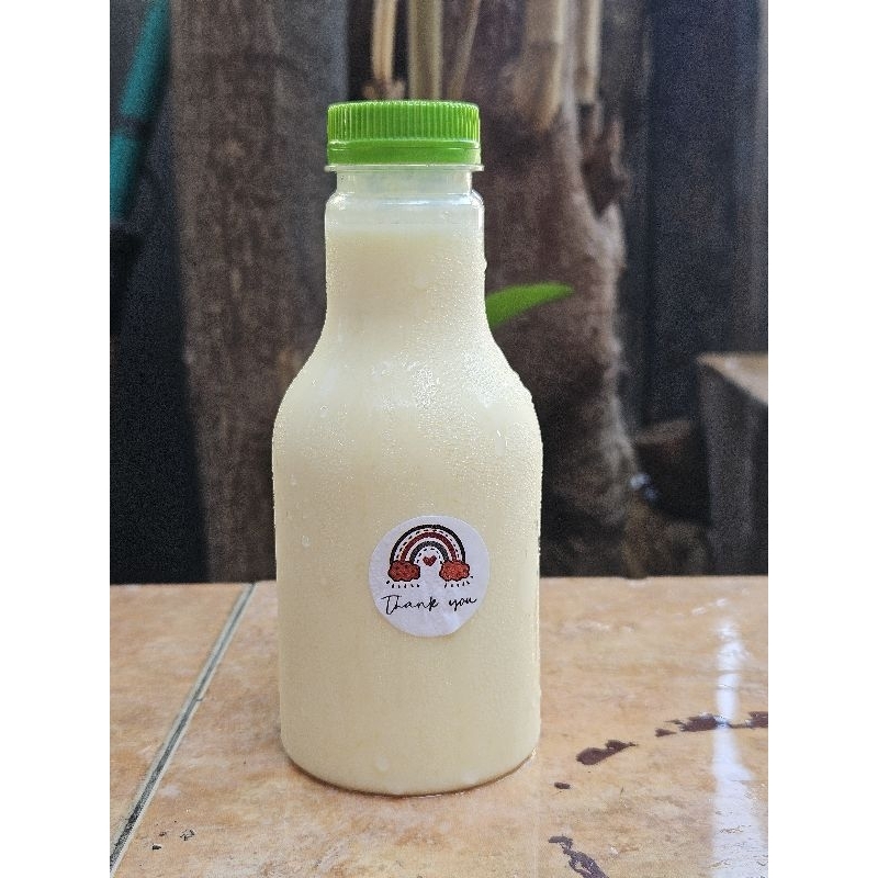 

Susu Buah Mangga