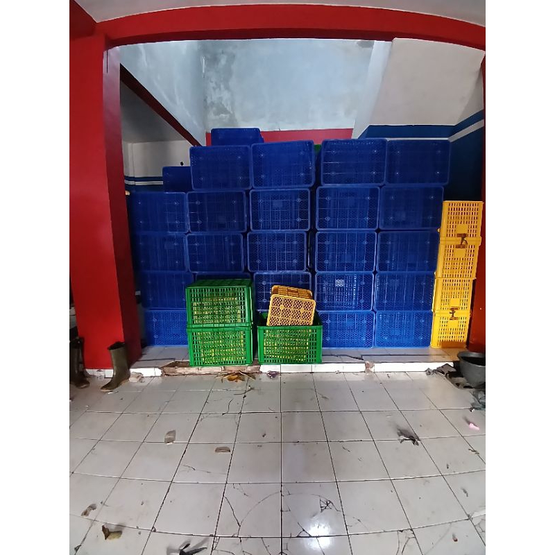 Keranjang rabbit 2008