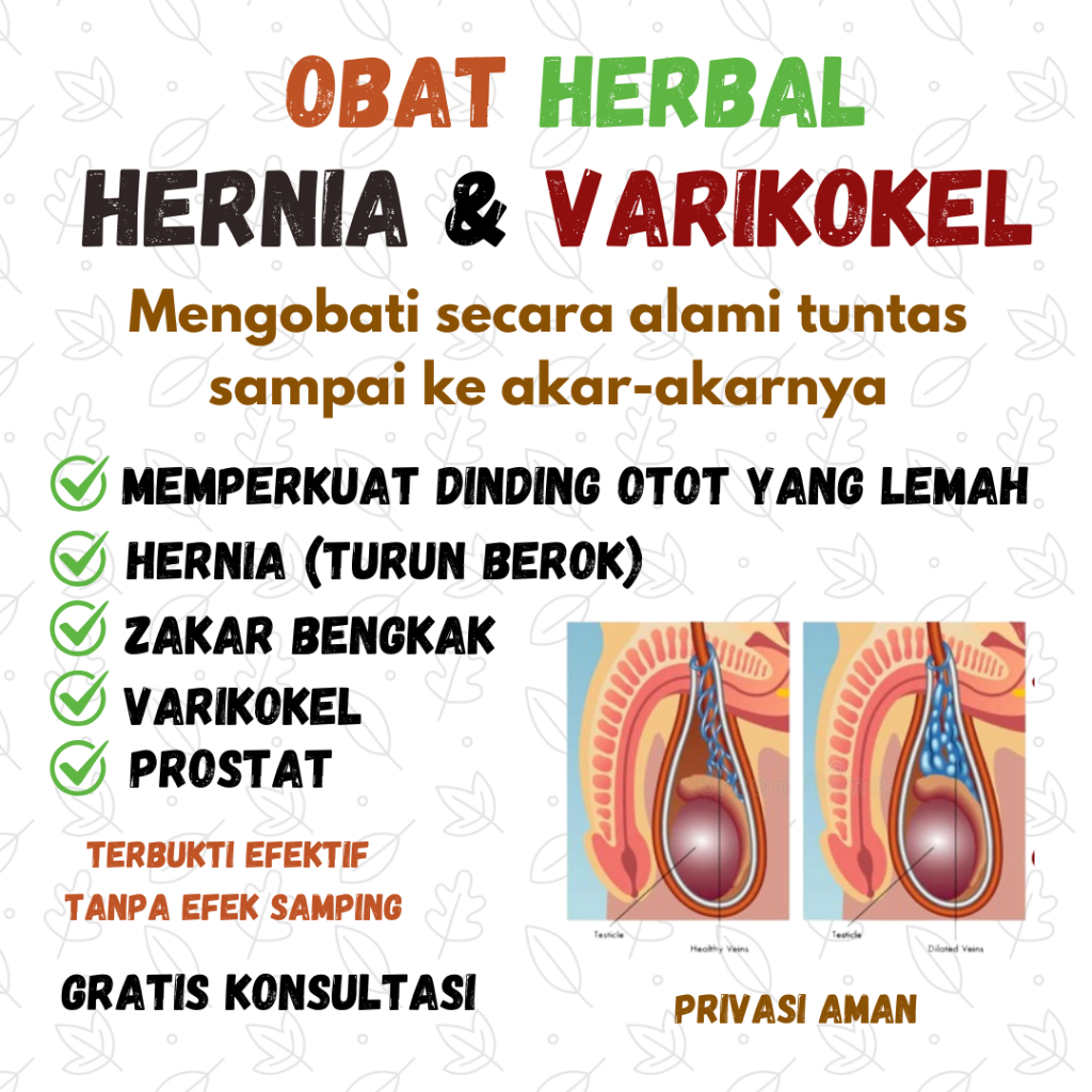 Obat Hernia Varikokel Turun Berok Pria Buah Zakar Bengkak Postrat Nyeri Testis Skrotum Posk Bv flow 