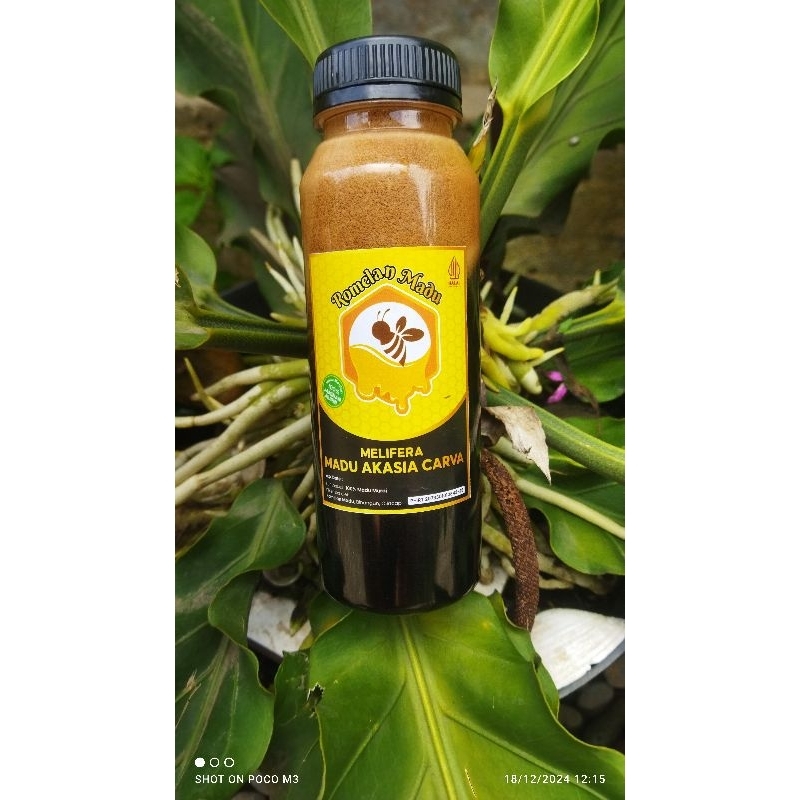 

Madu hitam 100%asli