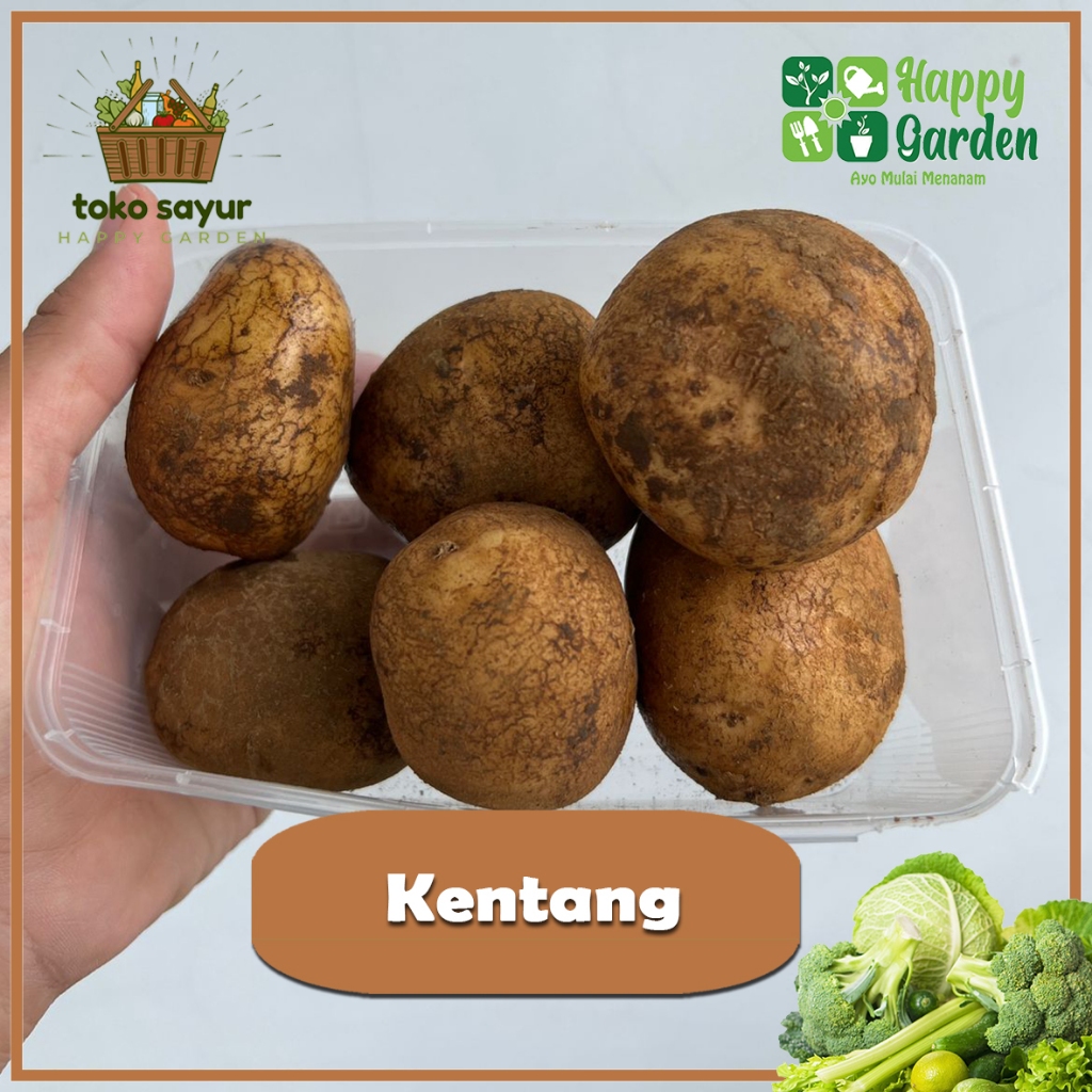 

KENTANG SEGAR 200 GRAM BERKUALITAS