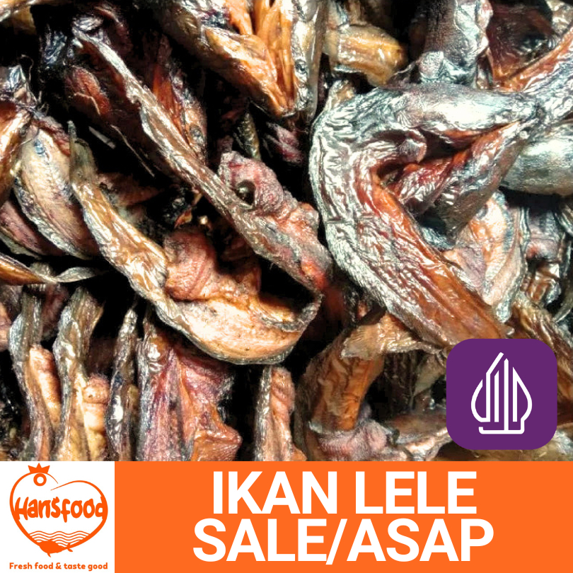 

IKAN SALE / IKAN LELE SALE / IKAN ASAP