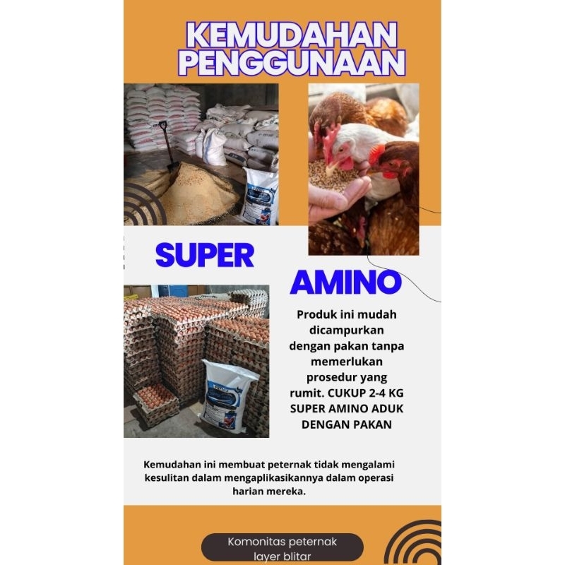 PREMIX AYAM LAYER PETELUR, SUPER AMINO, PRODUKSI MAKSIMAL