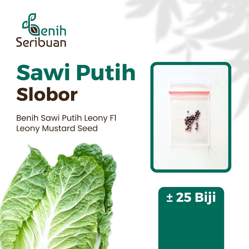 25 Benih Sawi Putih Autumn Sun F1 Bibit Sayuran Dataran Rendah Sayur Slobor Super Unggul Seribuan