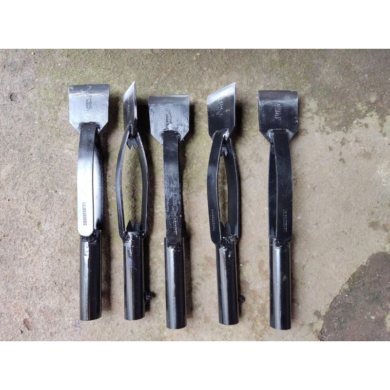 DODOS KASTRASI TANPA ASAH