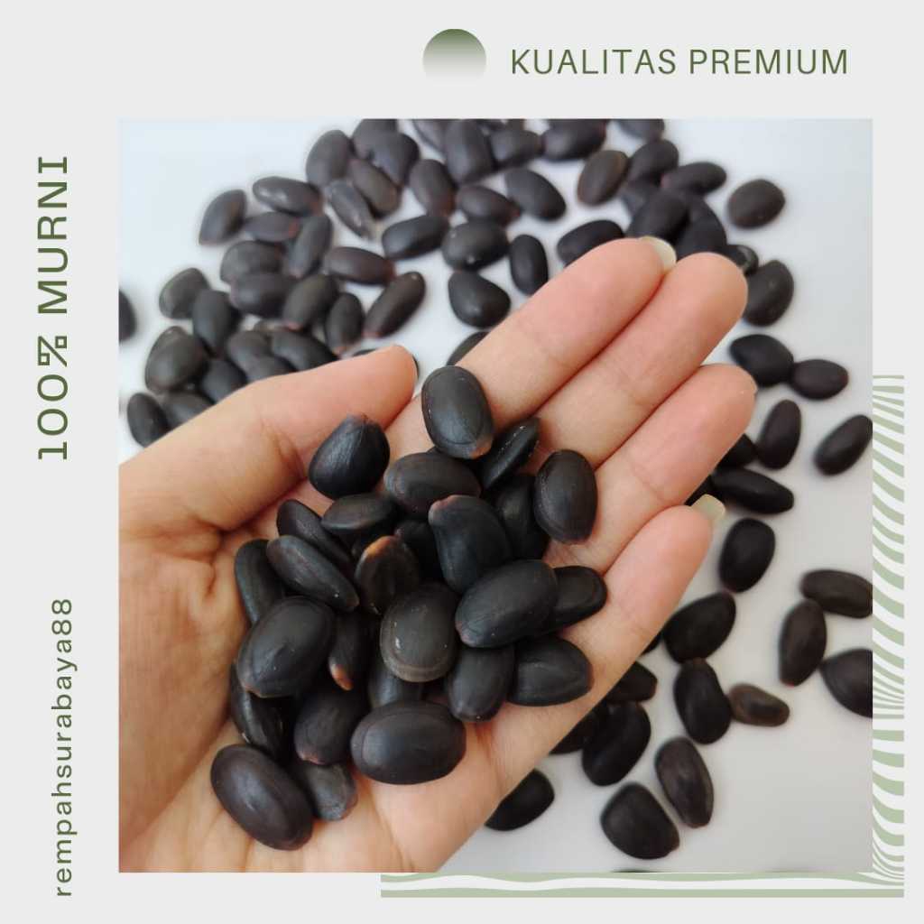 

BIJI KEDAWUNG KERING KWALITAS PREMIUM GRADE A