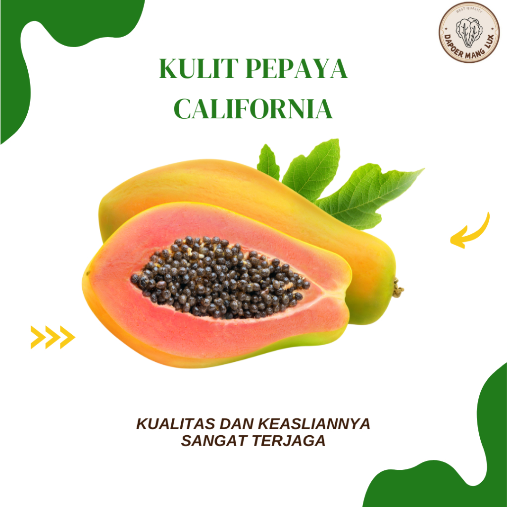 

EKSTRAK KULIT PEPAYA CALIFORNIA BEST SELLER
