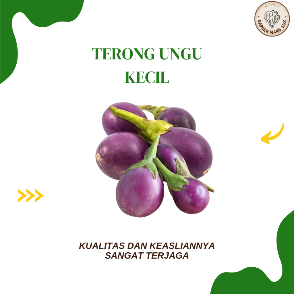 

DRIED SERBUK TERONG UNGU KECIL BEST SELLER
