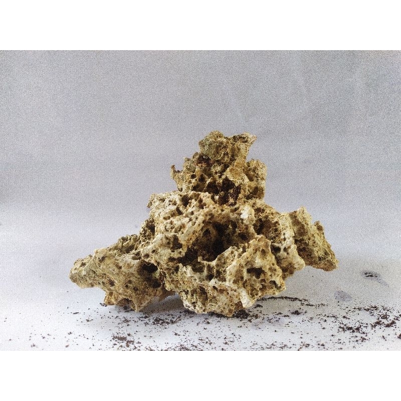 batu karang gunung, untuk hiasan aquarium, bonsai