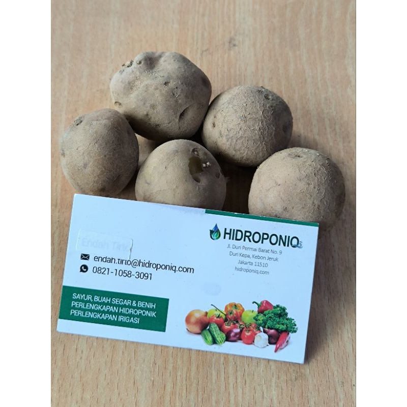 

Kentang rendang/baby potato organik 1kg