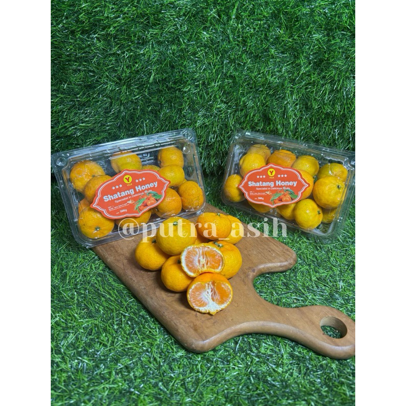 

Jeruk Santang Madu Orange 1 Pack