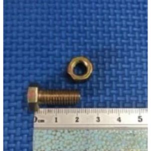 Baut 10 (6mm) x 2 cm + Mur