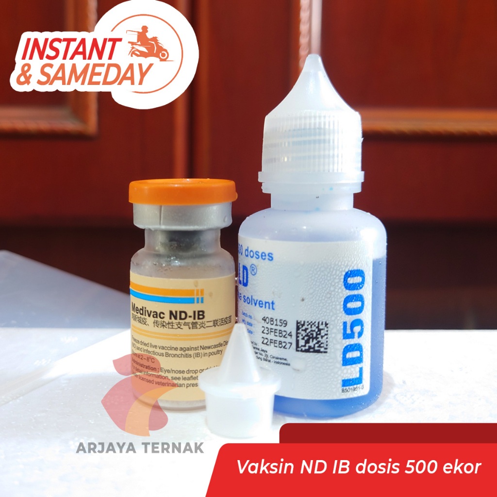 MEDIVAC ND IB Dosis 500 ekor Pelarut biru MEDION Vaksin Ayam Tetelo dan Infeksius Bronkitis Newcastl