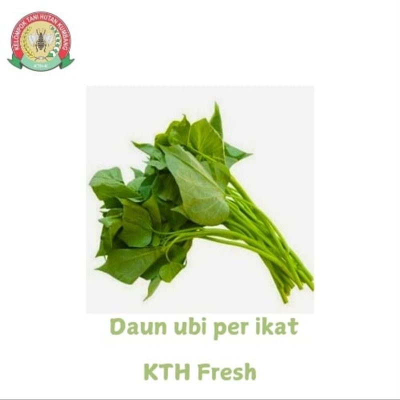 

DAUN UBI SEGAR ORGANIC PERIKAT