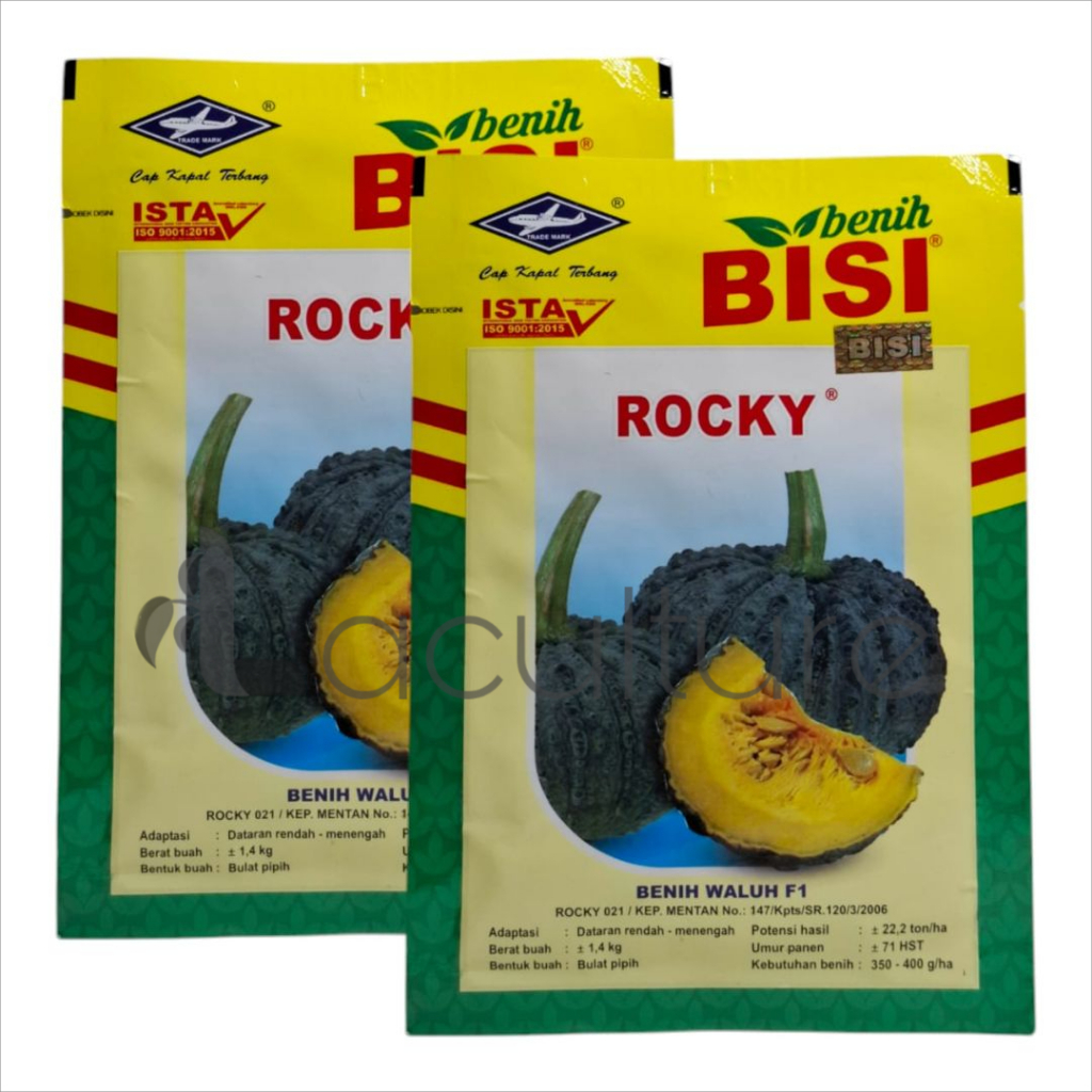 Benih Labu Waluh ROCKY F1 Isi 5 gram Cap Kapal Terbang