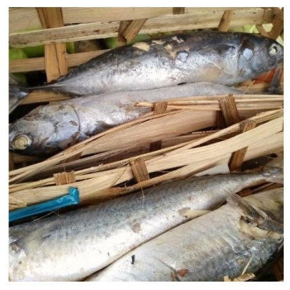 

Ikan pindang tongkol besar super 1pc 150 - 250 gram