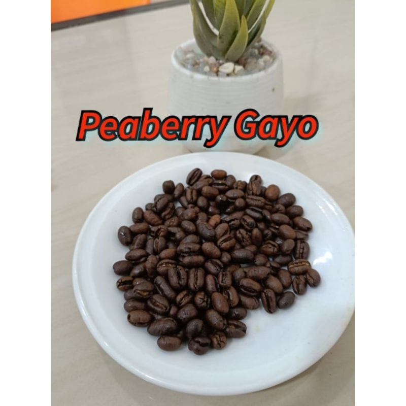 

Biji kopi Peaberry Gayo / Kopi Lanang / Biji kopi premium / Grade A Gayo