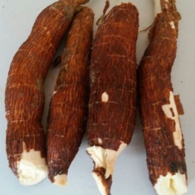 

singkong pulen empuk 1kg