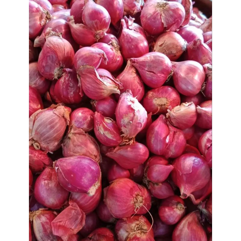 

Bawang merah murah Berkualitas