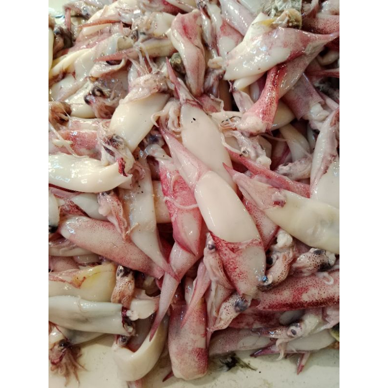 

cumi bangka cumi basah 500gr mang sayur